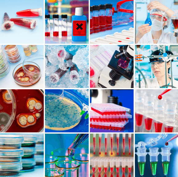 Asociatia Laboratoarelor pentru Calitatea Vietii